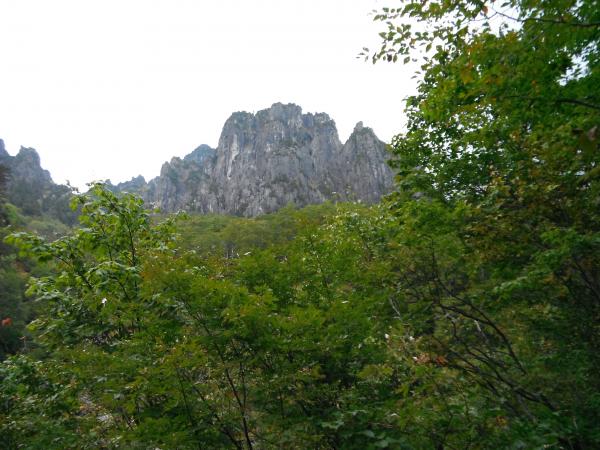 アプローチは長くもなく、短くもなく。